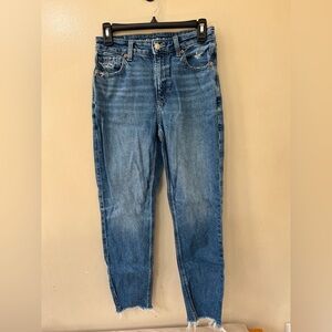 American Eagle Strigid Mom Jean, Size 2 Short